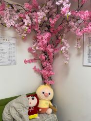 -臻美薈美容养生美甲美睫專門店