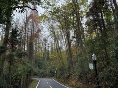 -潜山国家森林公园