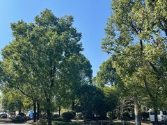 -森谷美食公园(杨行店)