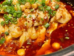 -新蜀会四川豆花(五羊店)