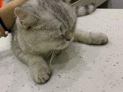 -贝利宠物医院·骨科·眼科·肿瘤转诊中心(南坪诊疗中心)