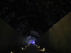 -武陵山森林公园