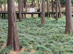 -月湖风景区