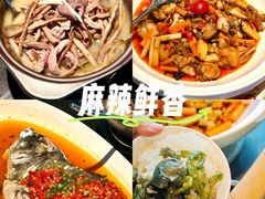 -凤凰湘语(浦东旗舰店)