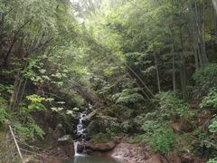 景点-藏龙百瀑风景区