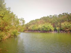 -广东茂名森林公园