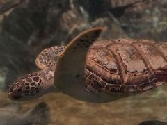 -福州罗源湾海洋世界旅游区