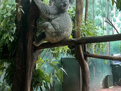 -石家庄市动物园