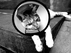 -Again Coffee Roaster(香蜜湖店)