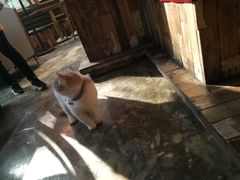 -NLFS1983咖啡花园餐厅(锦桂店)