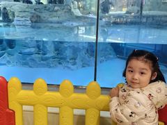 -帝企鹅自助餐厅•儿童岛•真企鹅(长隆企鹅酒店)