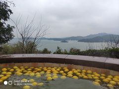 -天目湖涵田半山温泉