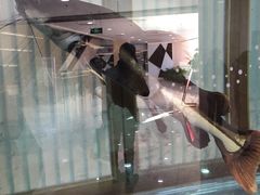 -味多美(望京店)