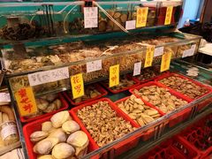 水产区-鲜入围煮花胶鸡海鲜火锅