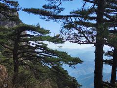 -黄山风景区