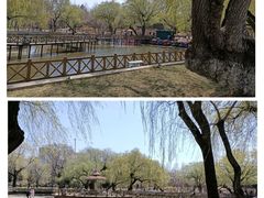 景点-沈阳南湖公园