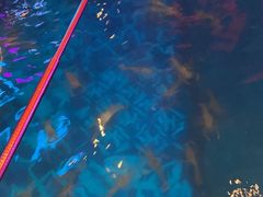 -钳真多钓虾馆·小龙虾海鲜烧烤(九六广场店)