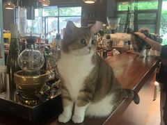 -咖法森林·咖啡  酒吧(天河店)