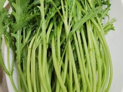 -蝎王府羊蝎子(北大地店)