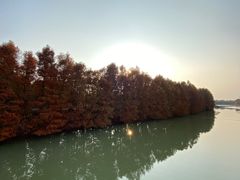 -上海海湾国家森林公园