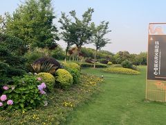 -西山漾湿地公园