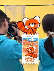-倾城宝贝儿童摄影(新辰里酒仙桥店)