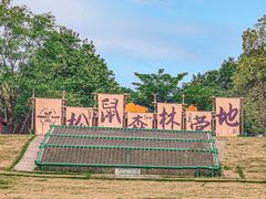 -成都松鼠部落
