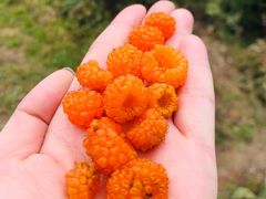 -叠溪松坪沟景区