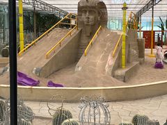 -南宫五洲植物乐园