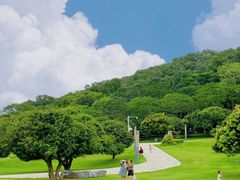 -红花山公园