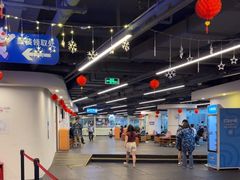 -世界之窗阿尔卑斯冰雪世界