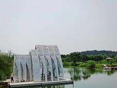 -大塘金香草谷