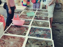 -板桥海鲜广场(文明东店)