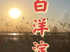 -白洋淀景区