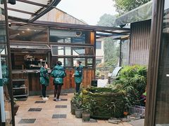-先机泉水鸡汤(南山老君洞店)