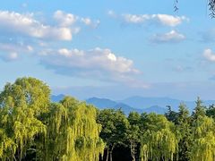 -洨河生态公园
