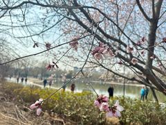 -太阳宫公园