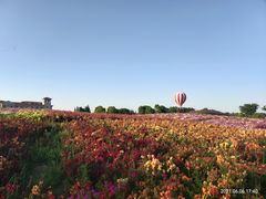 -歌斐颂巧克力小镇