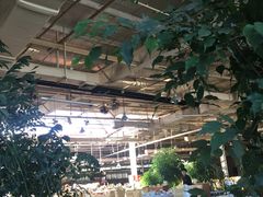 -红栌温泉山庄生态美食餐厅