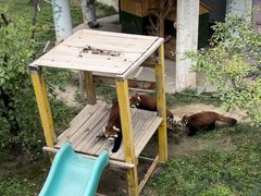 -青藏高原野生动物园
