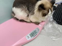 -嘉馨宠物医院·CT影像转诊·心脏科·犬猫全科诊疗中心(下沙大学城院区)