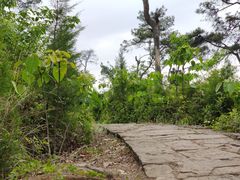 -金堂县云顶石城风景区