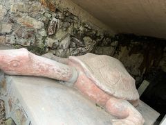 -上海佘山国家森林公园天马山园