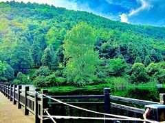 -九龙潭景区