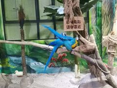 -海合安武汉极地海洋公园