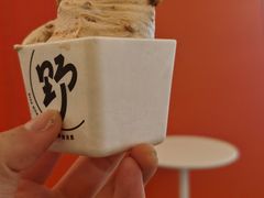 -野人先生现做冰淇淋(北京王府井东方新天地店)