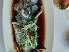 -骏莱海鲜鱼港(五角场店)