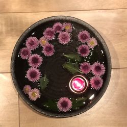 -素可SPA