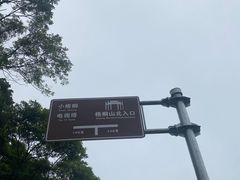 -梧桐山风景名胜区