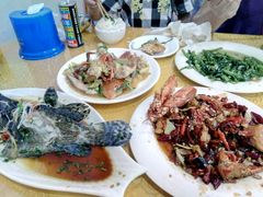 清蒸石斑鱼（600-700克）-南海渔家•海鲜•正宗海南菜(海棠湾店)